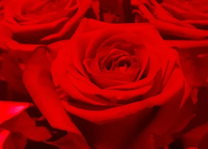 Apartment Lux, Privatif Valenciennes